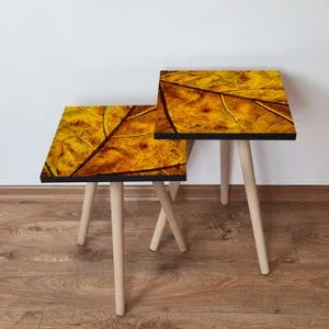 2Shp105 - Mustard Mustard
Brown Nesting Table (2 Pieces)