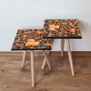 2Shp22 - Camel Camel
Brown
Orange Nesting Table (2 Pieces)