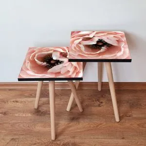 2Shp251 - Salmon Salmon
Brown
White Nesting Table (2 Pieces)