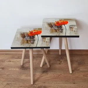 2Shp302 - Multicolor Multicolor Nesting Table (2 Pieces)