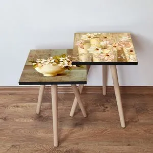 2Shp456 - Multicolor Multicolor Nesting Table (2 Pieces)