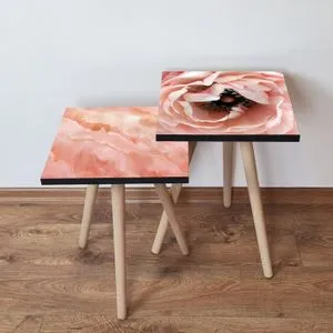 2Shp502 - Salmon Salmon
Gold
Brown Nesting Table (2 Pieces)