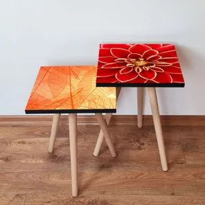 2Shp526 - Orange Orange
Yellow
Red Nesting Table (2 Pieces)