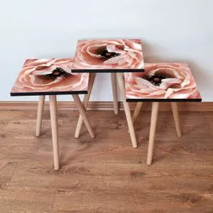3Shp251 - Salmon Salmon
Brown
White Nesting Table (3 Pieces)