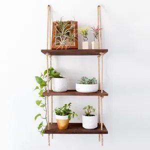 Aa041 v2 Walnut Wall Shelf