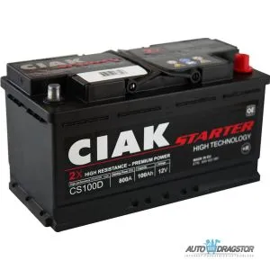 AKUMULATOR 12V 100Ah D+