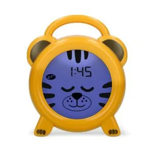 Alecto sat, alarm