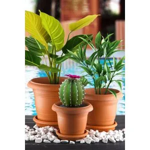 ANTSKS-3 Brown Vase Set