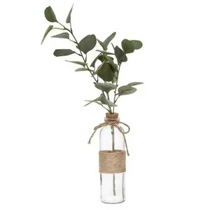 Atmosphera dekorativna biljka eucalyptus sa vazom