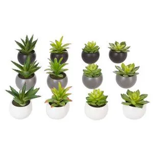 ATMOSPHERA SET CVEĆA U SAKSIJI 13X12X13,5CM PE/CEMENT VIŠE BOJA 145000