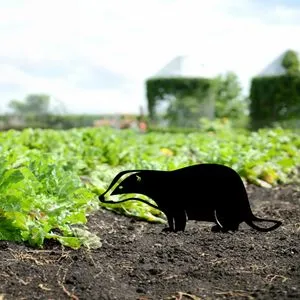 Badger 01 Black Decorative Garden Object