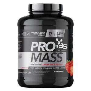 Basic Supplements Pro Mass / 2600Gr