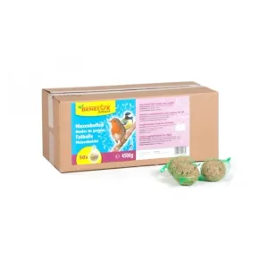 Benelux Zimske Kugle 50 x 90g – Mineralno-vitaminska kugla za sve vrste ptica