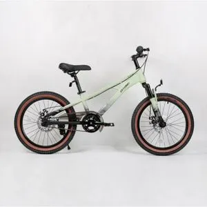 Bicikl 20" Ql-Green