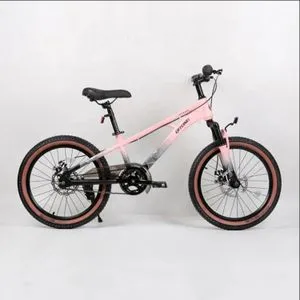 Bicikl 20" Ql-Pink