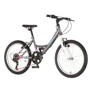 Bicikl Venssini Parma 20" sivi
