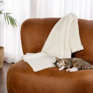 Blanket 60 - Cream Cream Cat Blanket