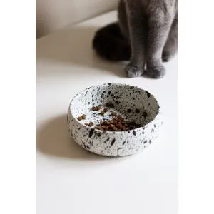 BSPT001 Multicolor Pet Food Bowl