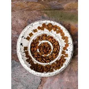 BSPT040 Multicolor Pet Food Bowl