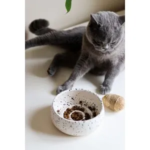 BSPT050 Multicolor Pet Food Bowl