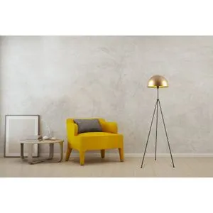 Can - NT - 113 Gold
Black Floor Lamp