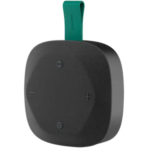 CANYON Hexagon 10 TWS Bluetooth Zvučnik 8W IPX5 Crno-Zeleni