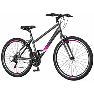 Cla273 $ 17"/27.5" Explorer Classic Siva 2021 @Wk