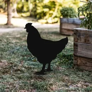 Crni Dekorativni Vrtni Objekt - Piletina