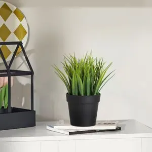 Crni i Zeleni Dekorativni Lonac