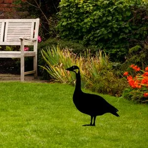 Crni Ukrasni Objekt za Vrt - Guska 01