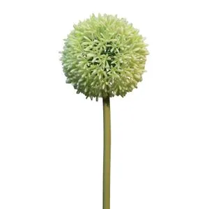Cvet ALLIUM 68cm 11649-0 - Green - NNT