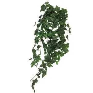 Cvet CHICAGO 86cm 31001-1 - Green - NNT