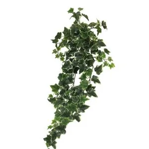 Cvet CHICAGO 86cm 31001-2 - Variegated - NNT