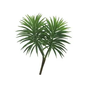 Cvet CROSSOSTEPHIUM 18cm 51048-1 - Green - NNT