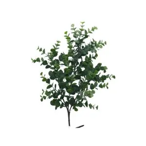 Cvet EUCALYPTUS 65cm 914117 - Green - EDL