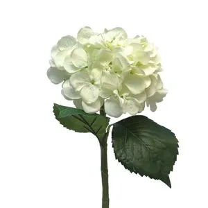 Cvet HYDRANGEA 48cm 12275-0 - Cream - NNT