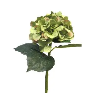 Cvet HYDRANGEA 48cm 12275-2 - Green - NNT