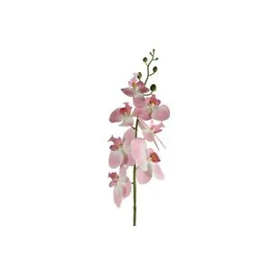 Cvet ORCHID 83cm 796074 - Pink - DCS