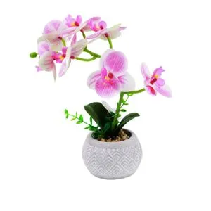 Cvet ORCHID FH2637 - N13