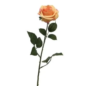 Cvet ROSA DIJON 64cm 12172-4 - Peach - NNT