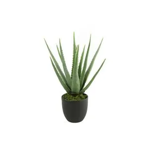 Cvet u saksiji ALOE 49cm 768198 - Green - DCS