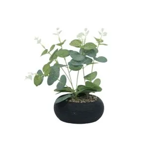 Cvet u saksiji FLORENS - N58