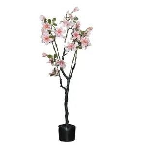 Cvet u saksiji - MAGNOLIA 120cm - N60