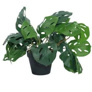 Cvet u saksiji - MONSTERA ZD-BYBG19(A)-PGJ5 - 32cm - N55