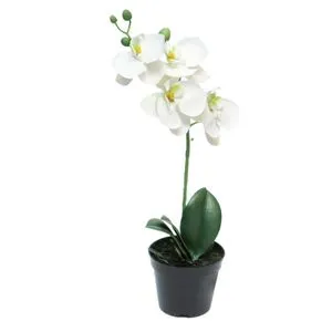 Cvet u saksiji ORCHID 35cm 51345-0 - White - NNT