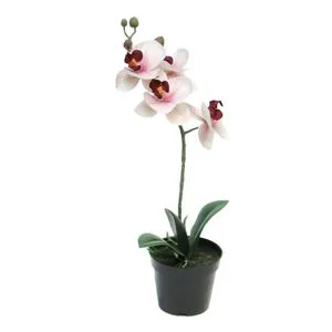 Cvet u saksiji ORCHID 35cm 51345-7 - Pink - NNT