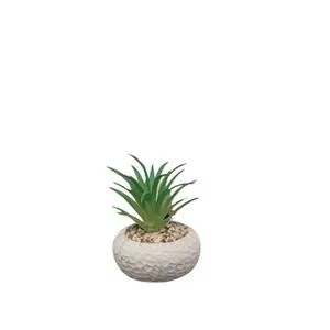 Cvet u saksiji - SUCCULENT Cube 321 - N44