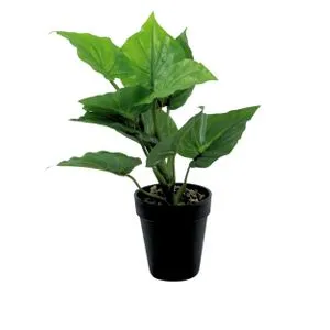 Cvet u saksiji - TARO MINI - 35cm - N55