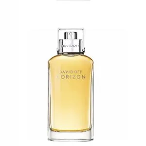 DAVIDOFF Muška toaletna voda HORIZON EDT 125ml