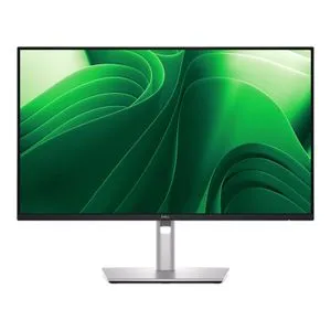 Dell P2425D QHD 100Hz Pro Plus IPS monitor 23.8"